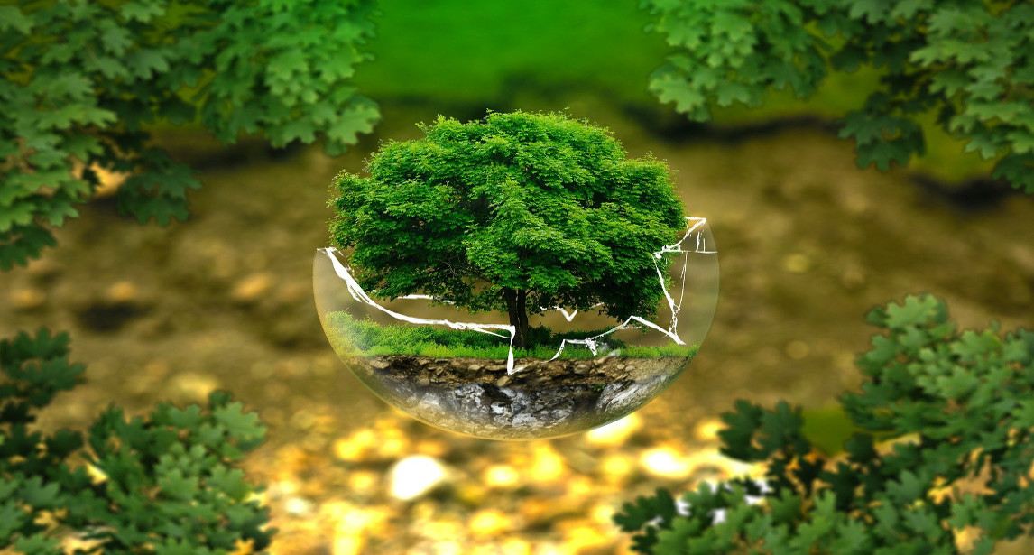 Immagine bellissima della natura